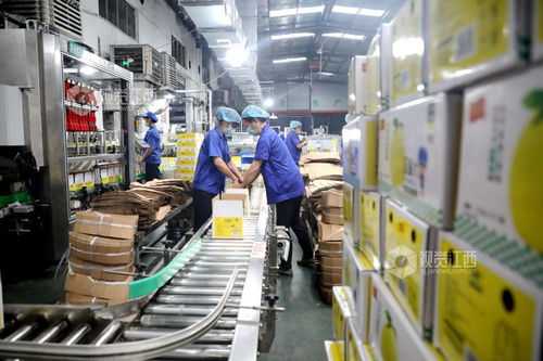 峽江食品企業(yè) 產(chǎn)銷兩旺與綠化服務協(xié)同發(fā)展