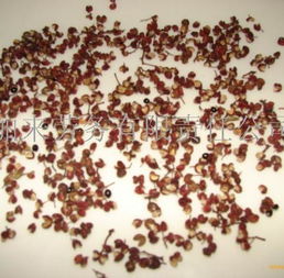 干花椒勞務服務 農業(yè)產業(yè)鏈中的專業(yè)勞動力支持
