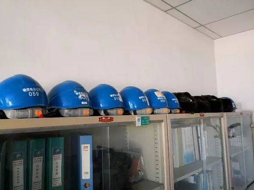 第十期暖心行動 團組織綠化服務點亮美好社區(qū)
